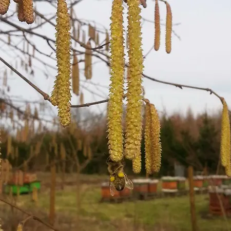 Agroturystyczny Dom Na Skraju Lasu Farma Slawoborze