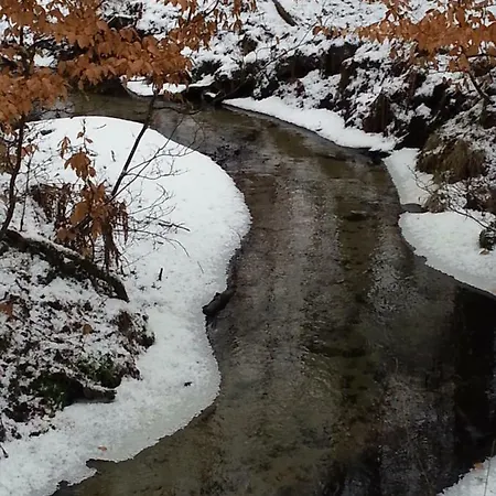Agroturystyczny Dom Na Skraju Lasu Vakantieboerderij Slawoborze