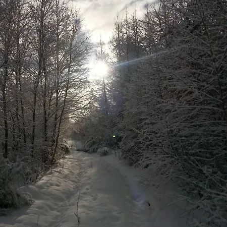 Vakantieboerderij Agroturystyczny Dom Na Skraju Lasu Slawoborze
