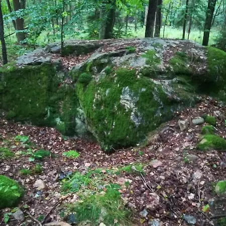 Agroturystyczny Dom Na Skraju Lasu