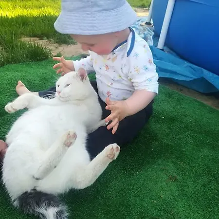Agroturystyczny Dom Na Skraju Lasu