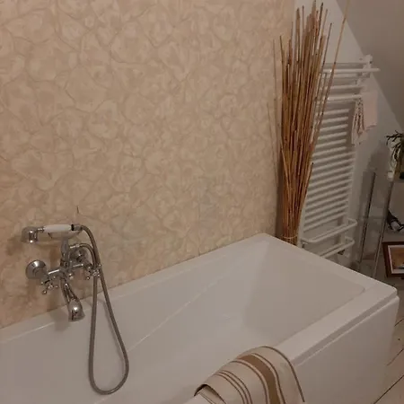 Agroturystyczny Dom Na Skraju Lasu Vakantieboerderij Slawoborze