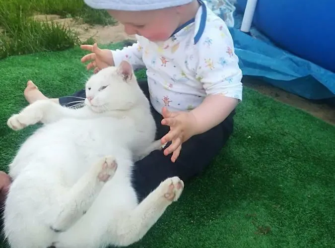 Agroturystyczny Dom Na Skraju Lasu